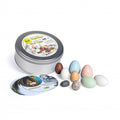 Vogeleier Entdecker-Set, Erzi