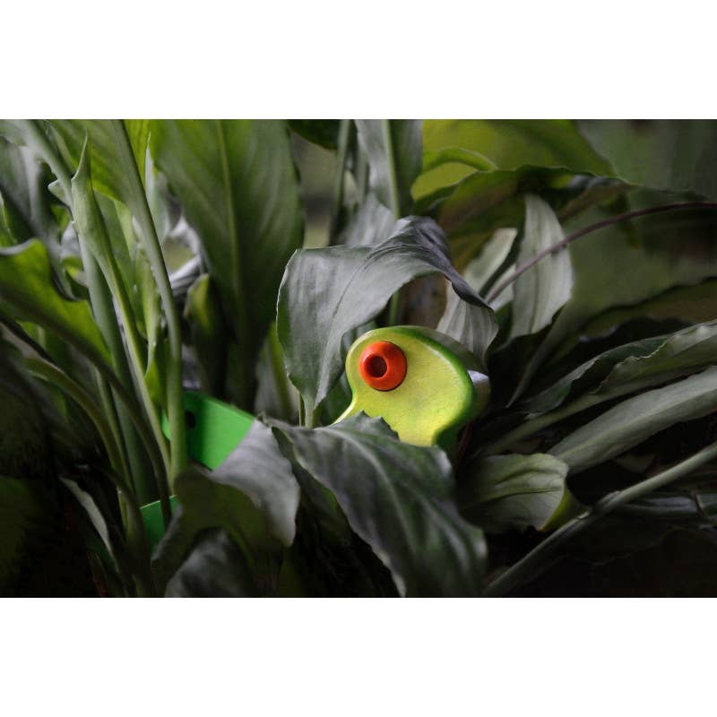 Bajo Rückziehspielzeug aus Holz, Zikade