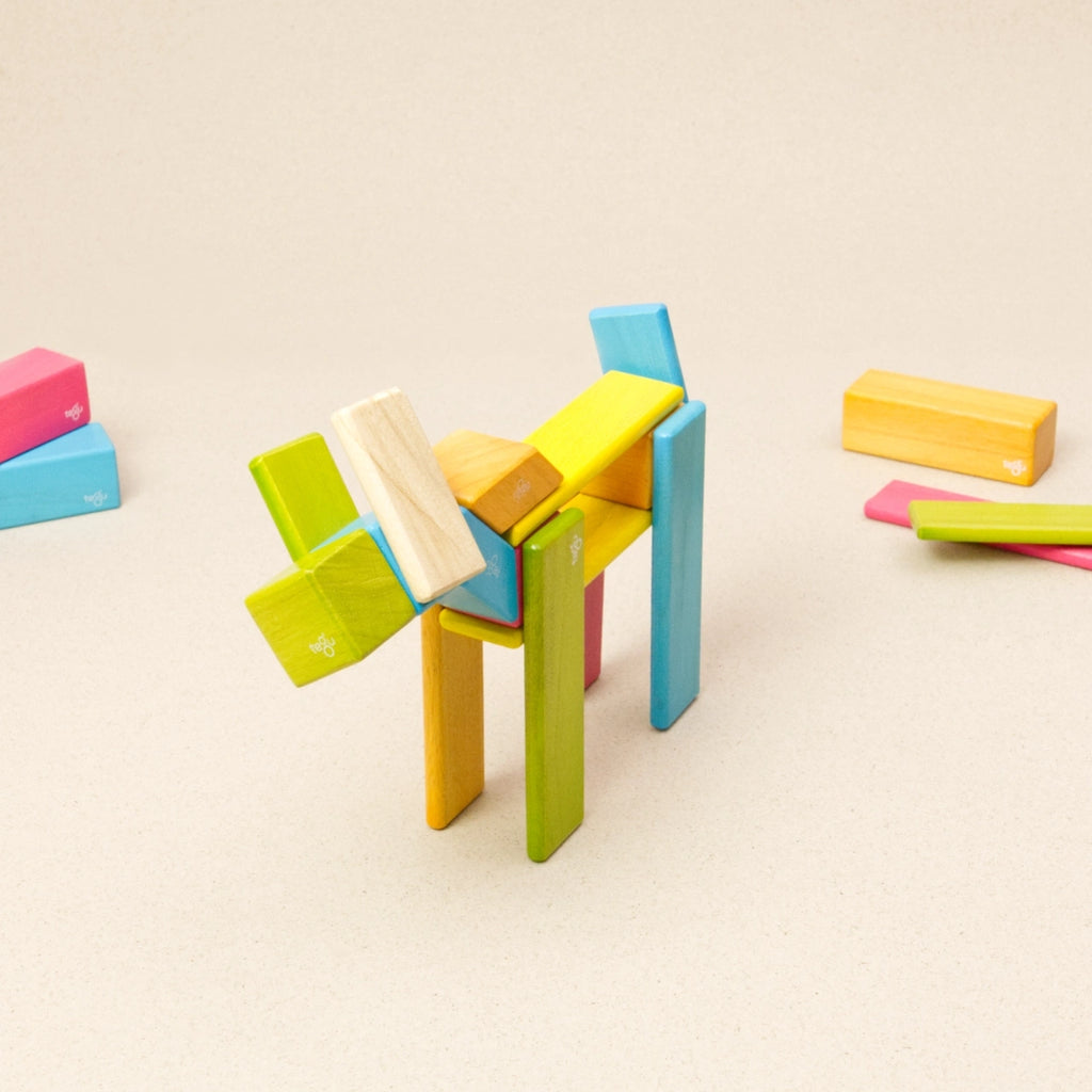 Tegu Magnetische Holzbausteine, 24-teilig