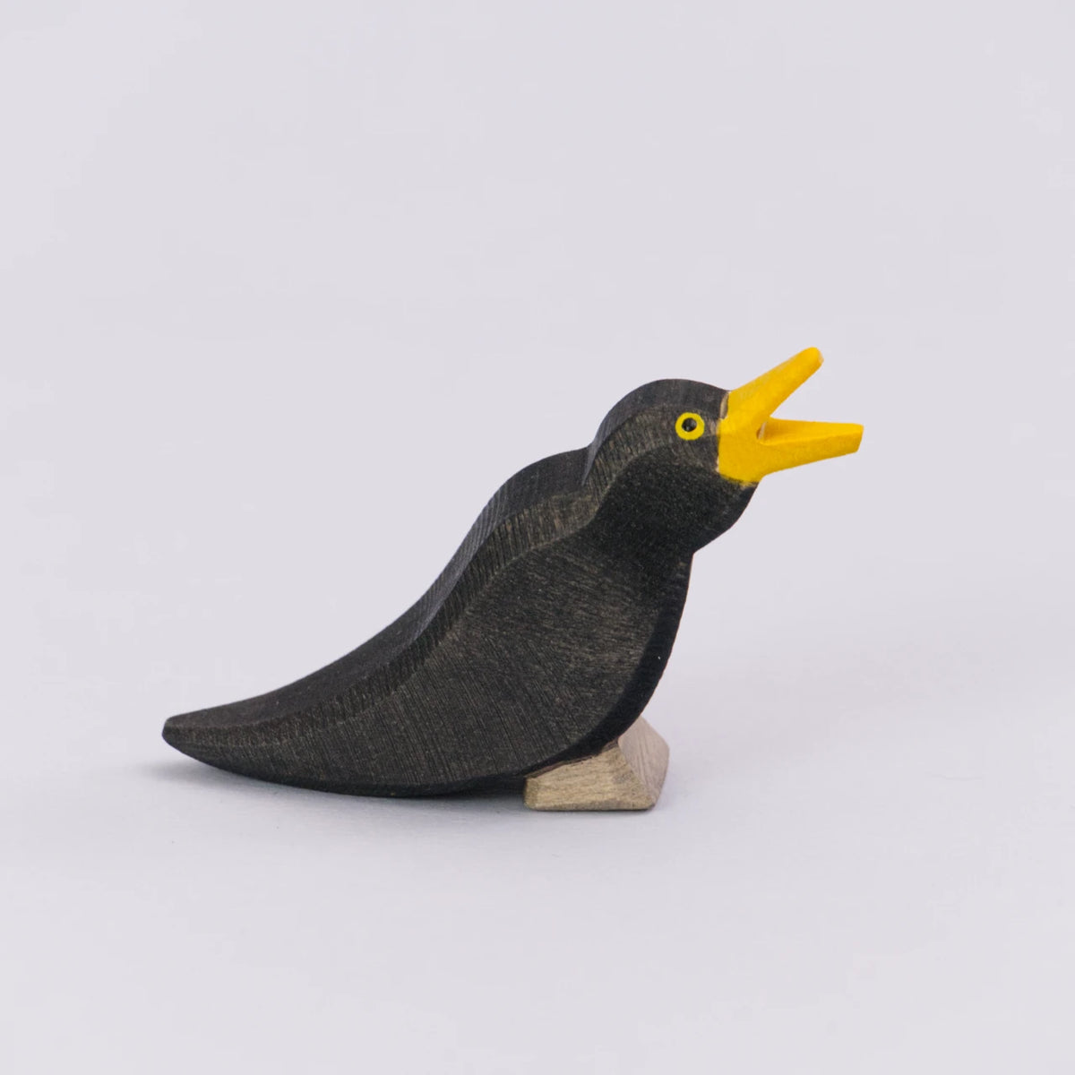 Amsel, Ostheimer Vogel