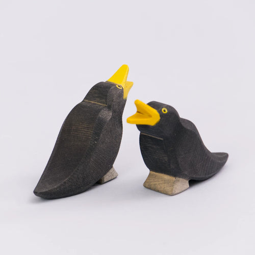 Amsel, Ostheimer Vogel – Foto 2
