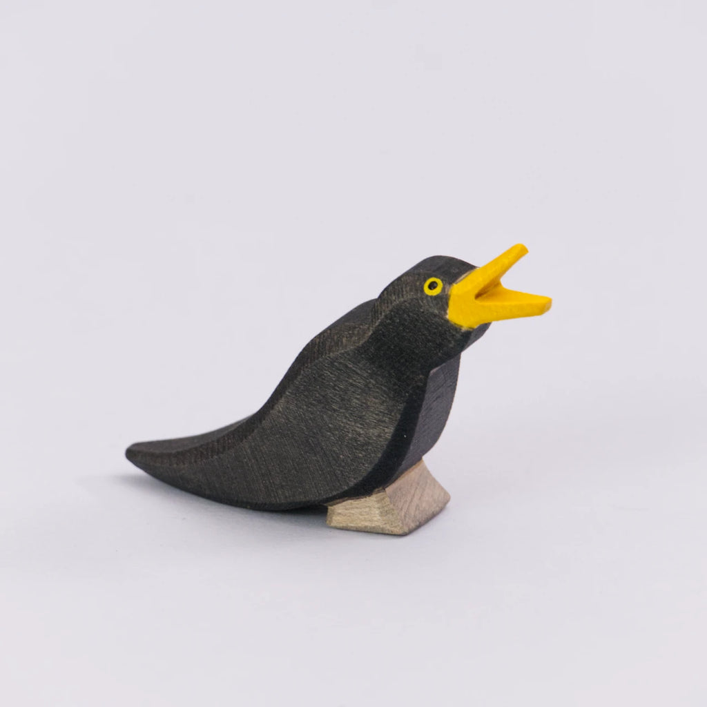 Amsel, Ostheimer Vogel – Foto 4