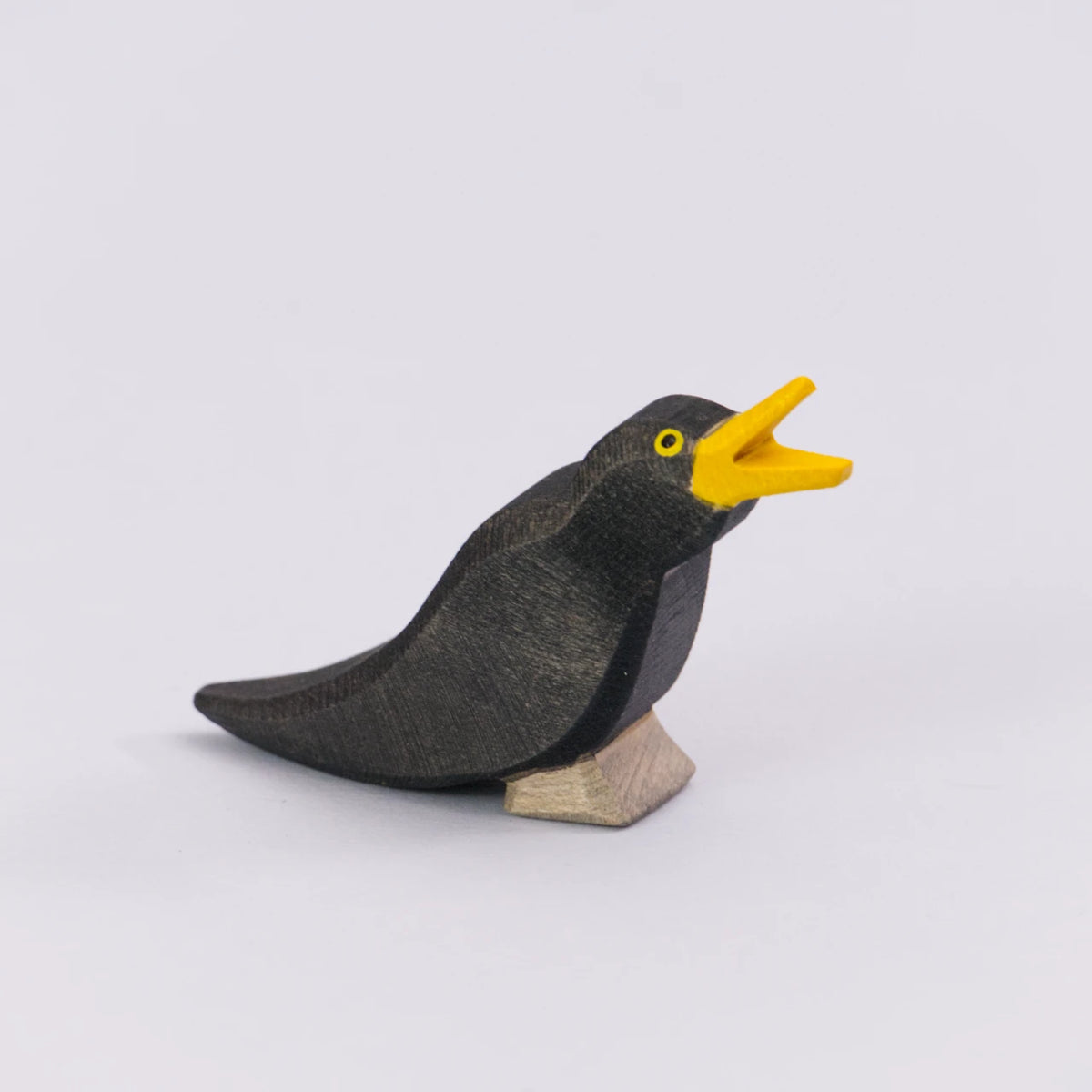Amsel, Ostheimer Vogel – Foto 4