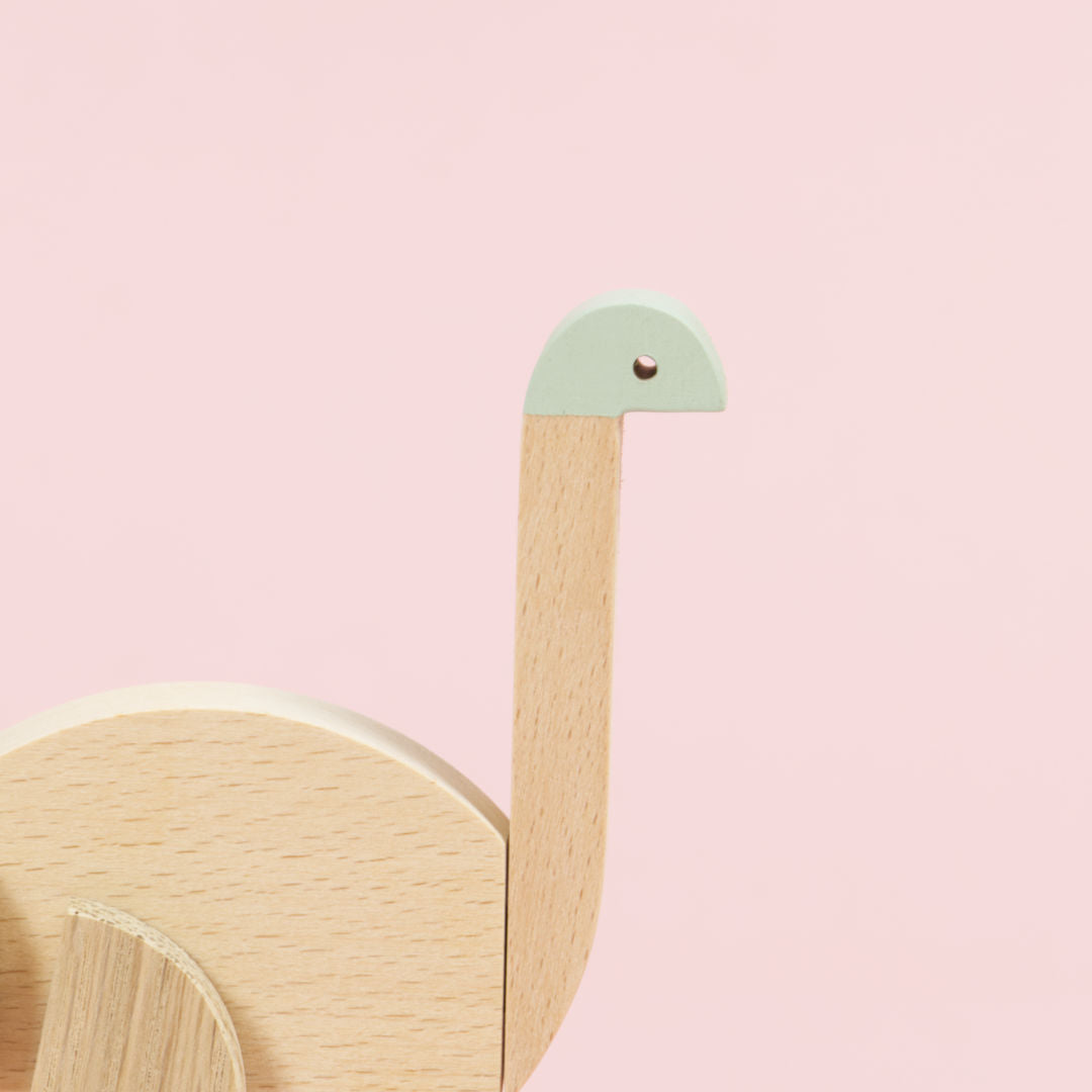Gesicht des Emu mit farblichem Element und Auge.