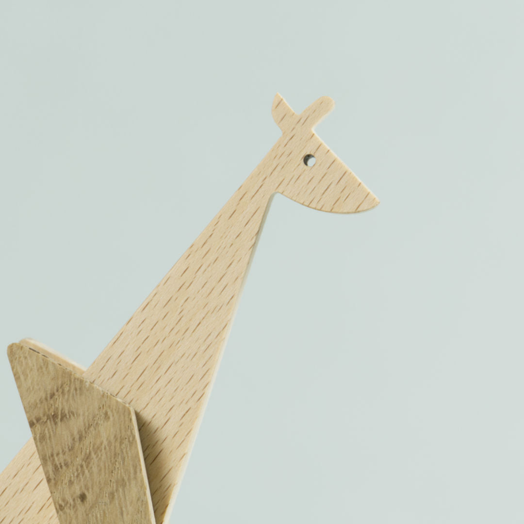 Gesicht der Giraffe mit Auge.