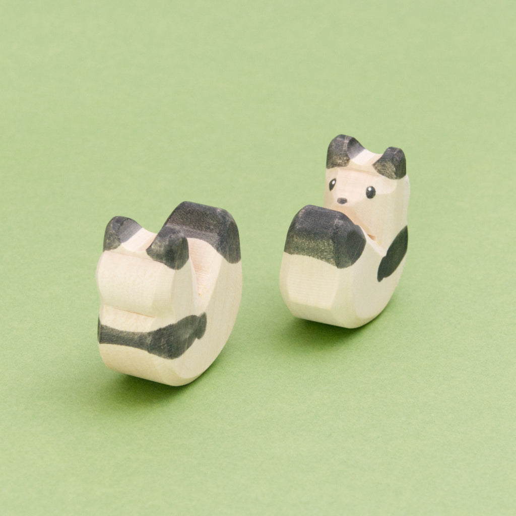 Zu sehen sind zwei kleine Pandas von Ostheimer. Beide Pandababys stehen sich schräg gegenüber, einer blickt nach vorne, der andere nach hinten.
