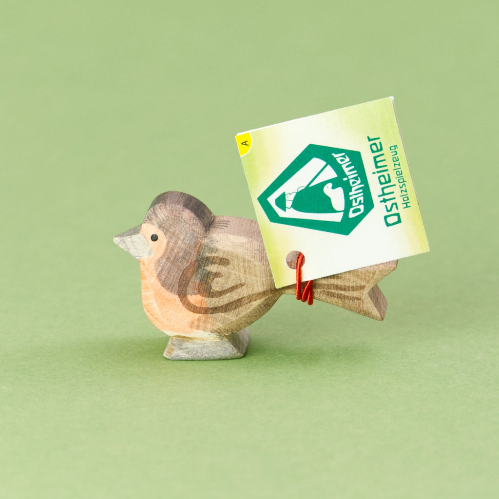 Rotkehlchen, Ostheimer Vogel – Foto 6