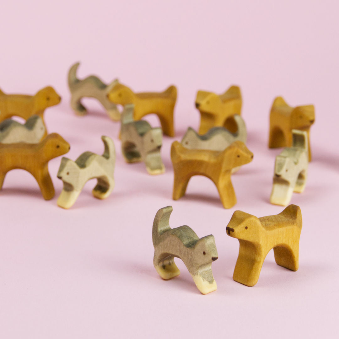 Decor Hunde und Katzen als Gruppe. Ein Hund und eine Katze schauen sich im Vordergrund an