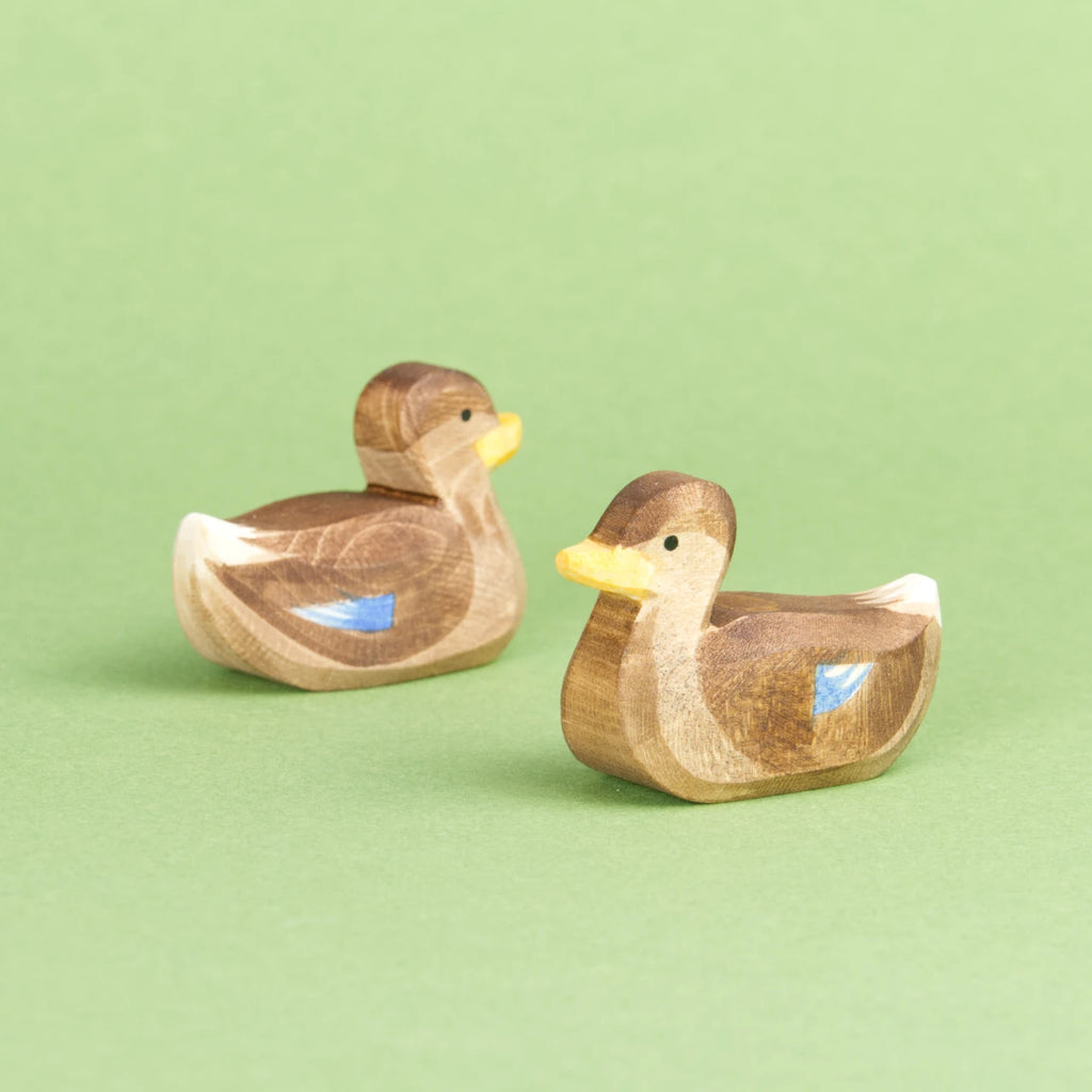 Zwei schwimmende Enten von Ostheimer aus Naturholz gefertigt, haben braunes Gefieder mit blauen und weißen Farbdetails, einen orangenen Schnabel und ein weißes Schwanzende. Beide schauen aneinander vorbei. Die Rechte nach vorne links und die Rechte nach hinten rechts.