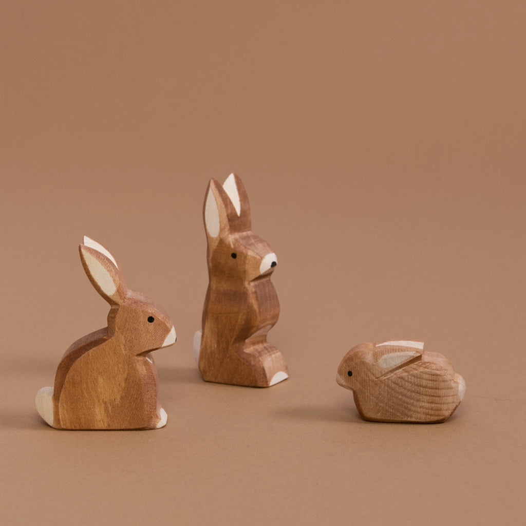 Komposition aus Hase klein, Hase Ohren hoch und Hase sitzend. Alle schauen sich gegenseitig an und Eiben braunes Fell und einen weißen Schwanz, Ohren, sowie Pfoten.