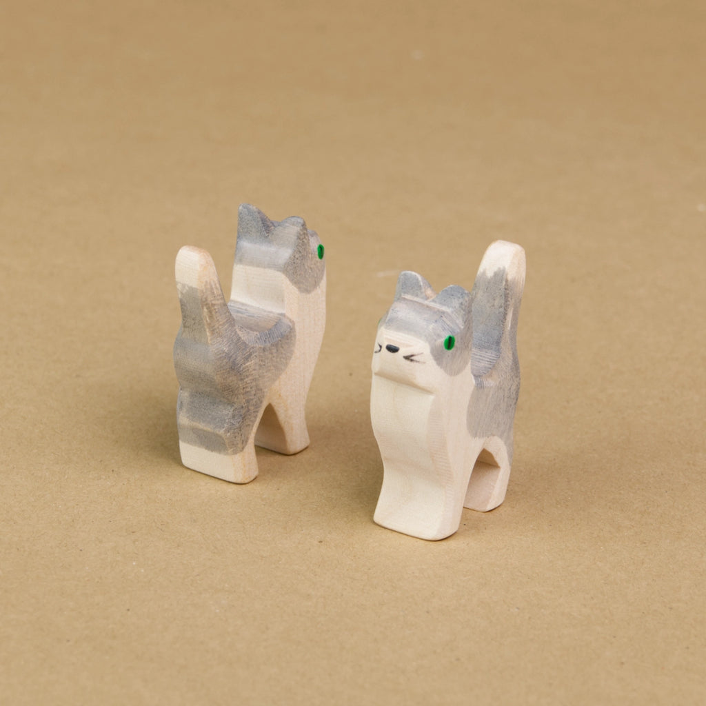 Zwei kleine Katzen mit weiß-grauem Fell stehen parallel, schräg nebeneinander und halten ihren Kopf sowie den Schwanz nach oben. Die linke Katze schaut nach hinten rechts und die rechte Katze schaut nach vorne links und ist mit dem Gesicht zu sehen.