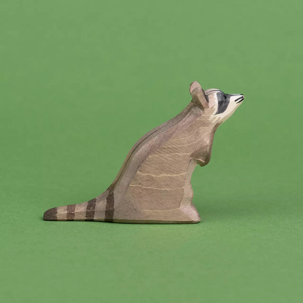 Ostheimer Waschbär sitzend