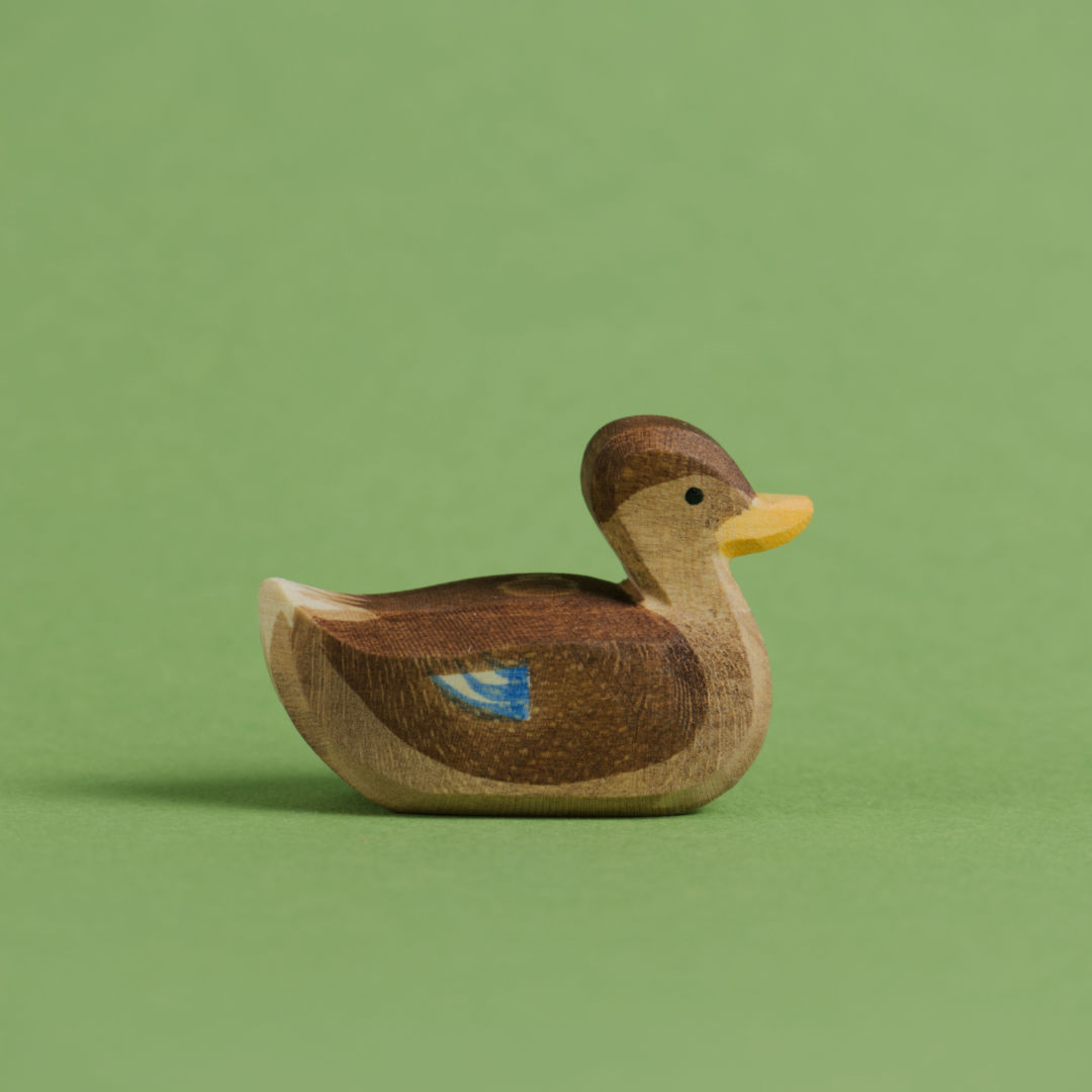 Eine schwimmende Enten von Ostheimer aus Naturholz gefertigt, hat braunes Gefieder mit blauen und weißen Farbdetails, einen orangenen Schnabel und einem weißem Schwanzende. Sie richtet ihren Blick nach rechts.