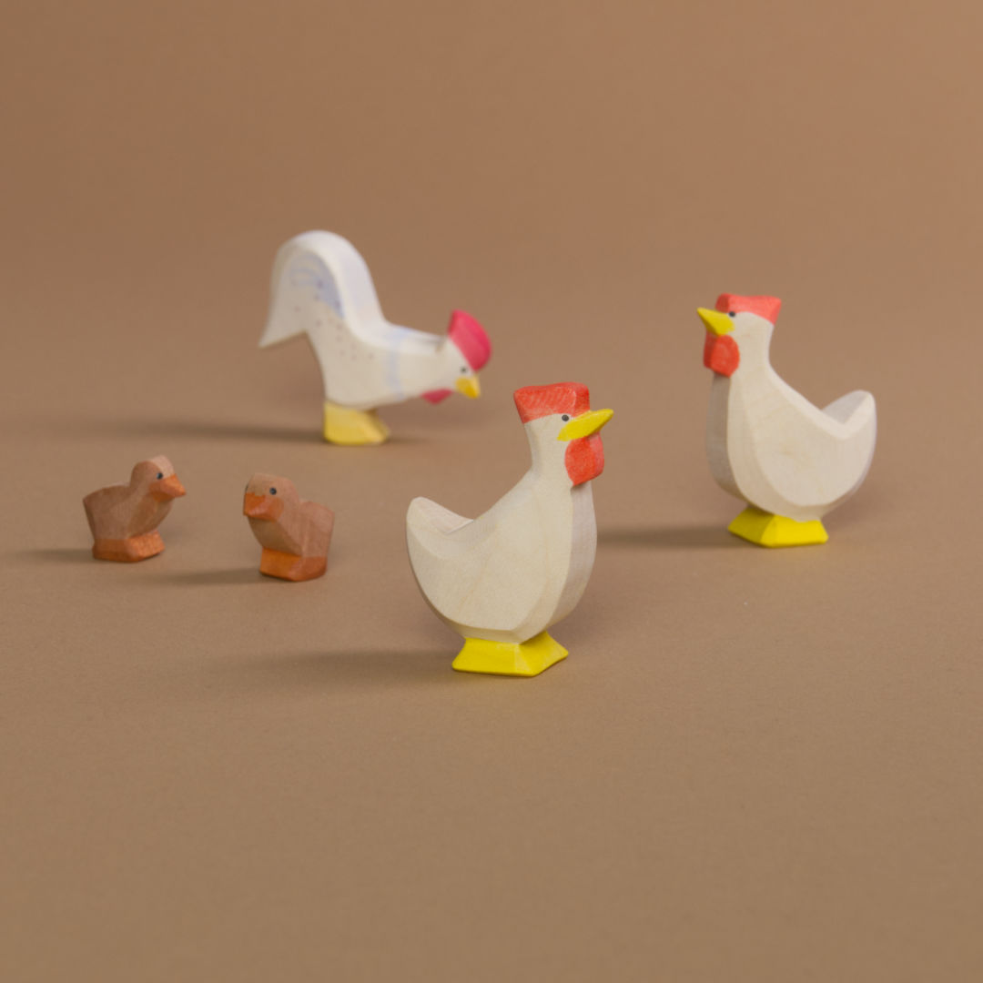 Komposition aus Huhn weiss nach links schauend im Vordergrund. in der Bildmitte zwei Entenküken und ein nach vorne rechts schauendes Huhn in weiss und im Hintergrund sich befindenden Hahn.