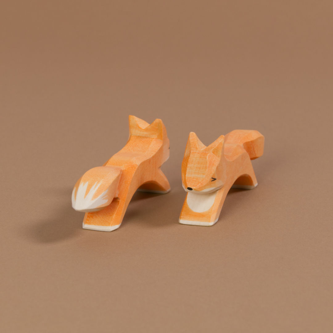 Zwei grosse Füchse sind in laufender Position, haben orangenes Fell, einen Schwanz mit weißer Spitze und weißes Bauchfell. Beide schauen aneinander vorbei.