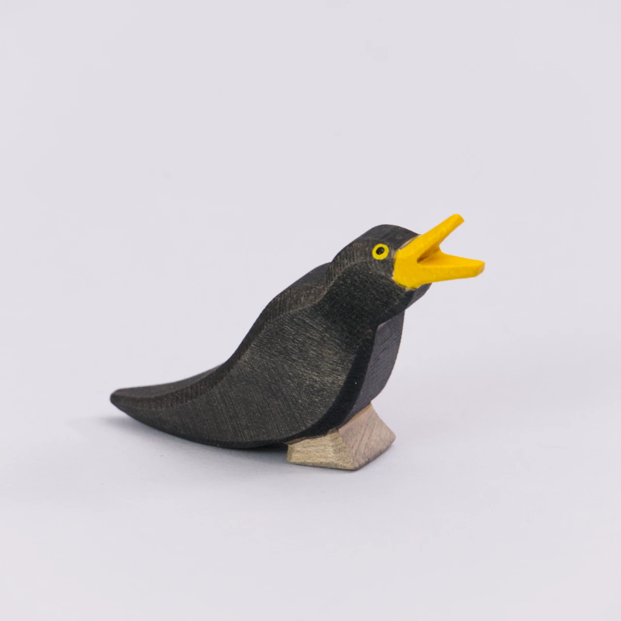 Amsel, Ostheimer Vogel – Bild 4
