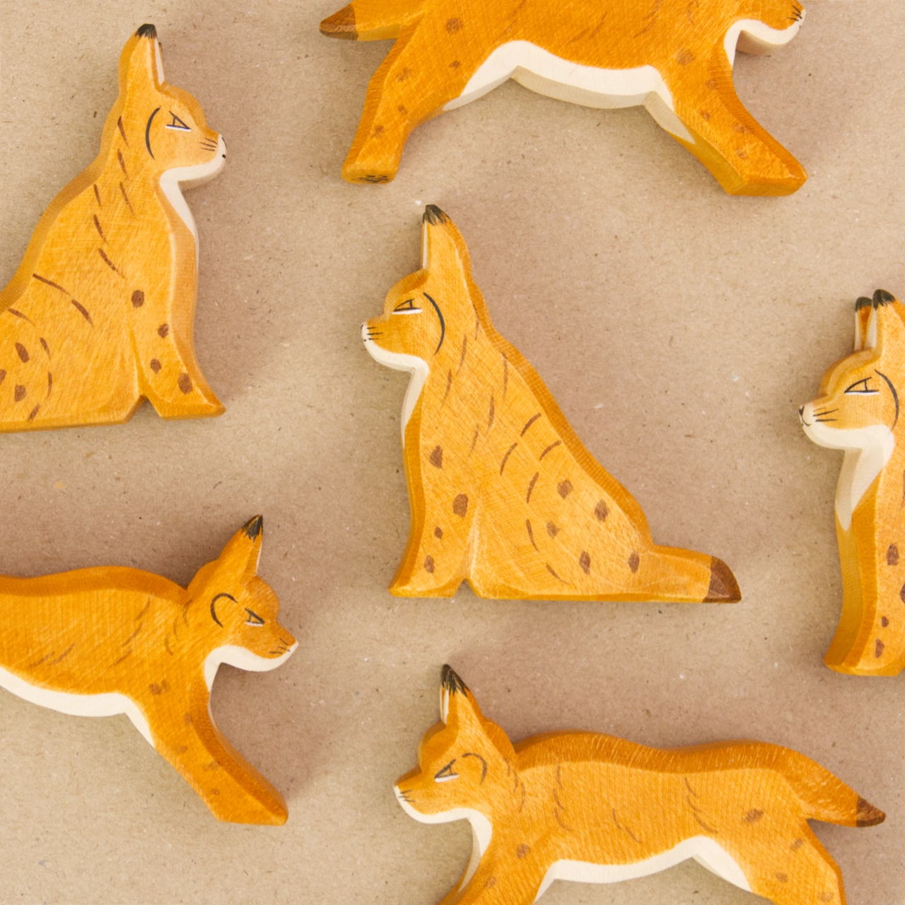 Ostheimer Luchs sitzend – Bild 3