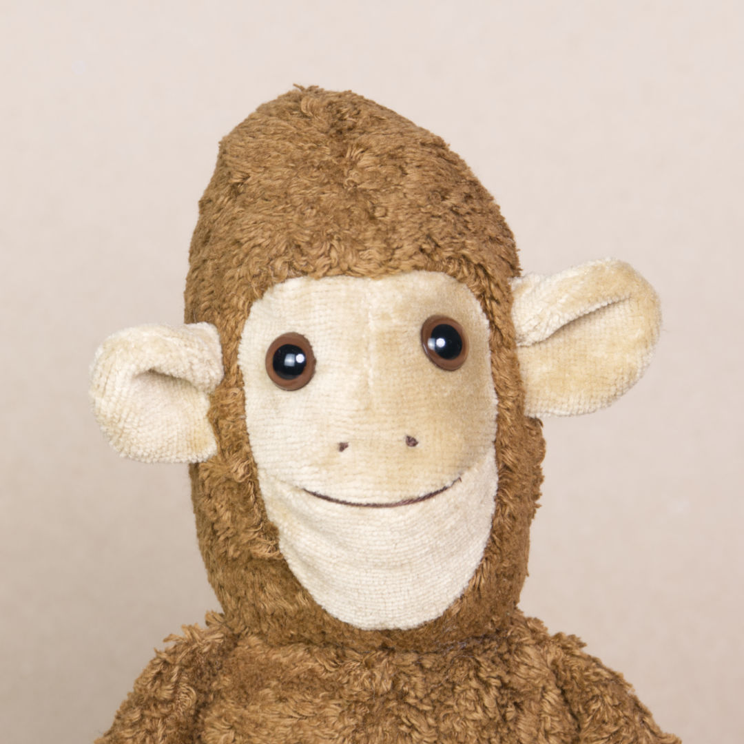 Portraitaufnahme des Kuscheltieres Affe namens Toto von Kallisto. Es hat braunes Plüschfell und braune Knopfaugen.