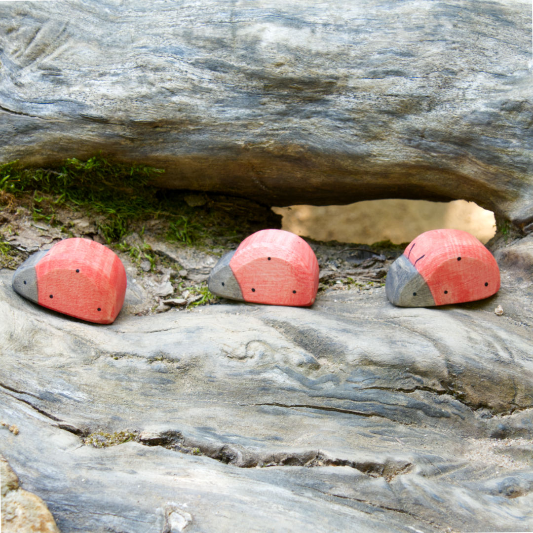 Drei Marienkäfer in Rot mit schwarzem Kopf und Punkten von Holzviecherl. Alle krabbeln auf einem Baumstamm.