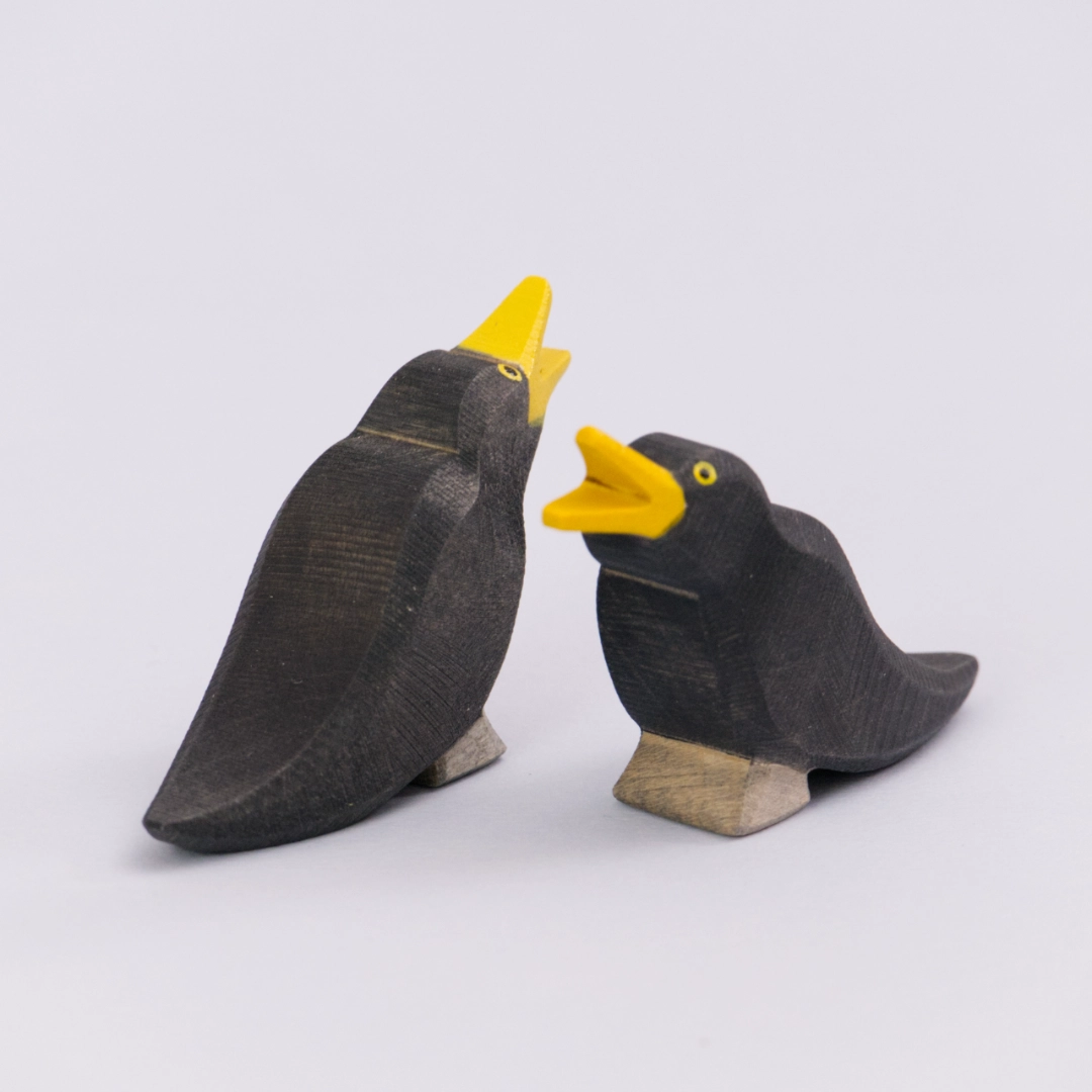 Amsel, Ostheimer Vogel – Bild 2