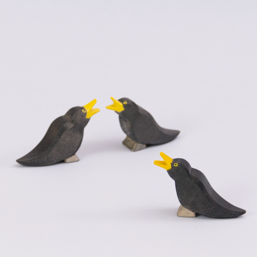 Amsel, Ostheimer Vogel – Bild 3