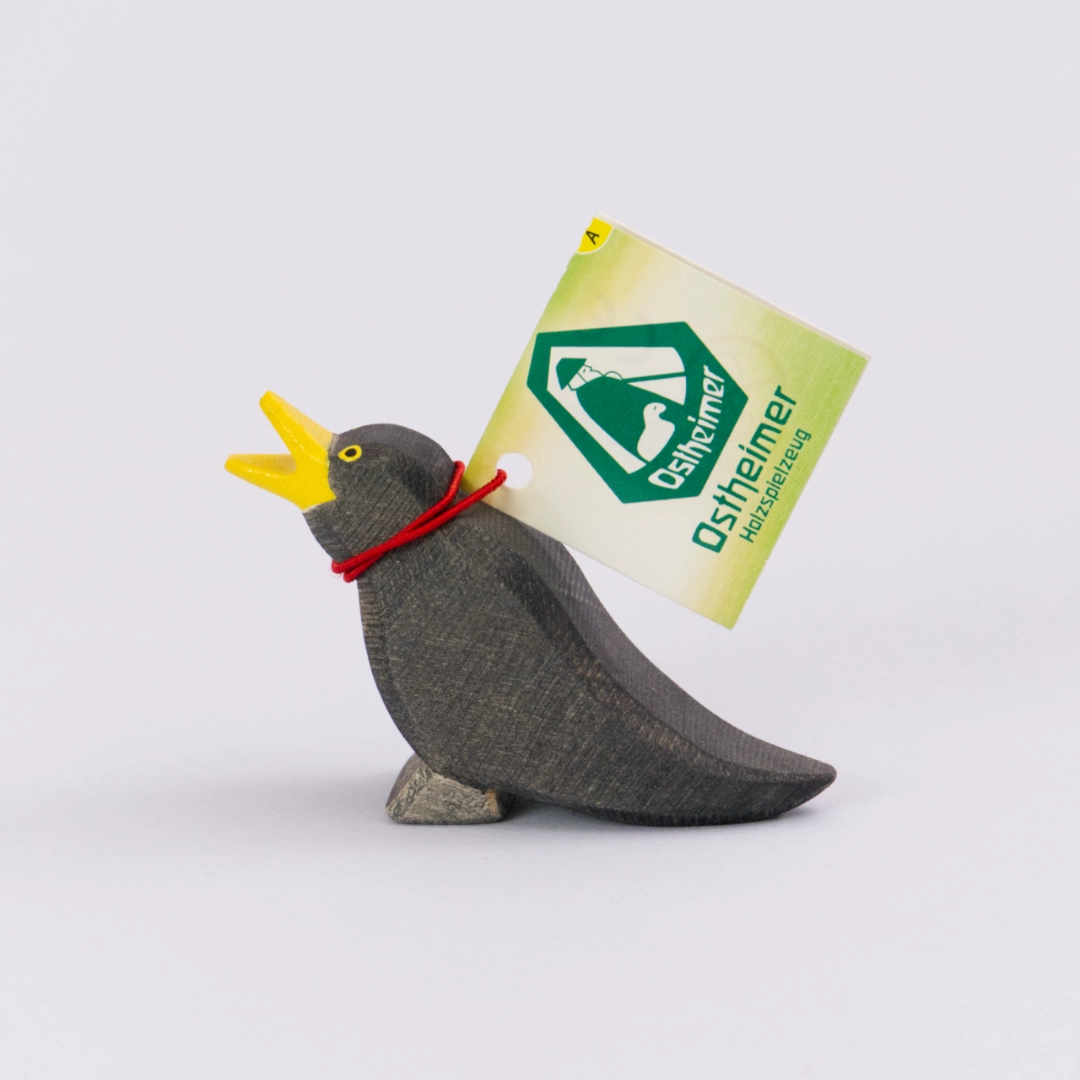 Amsel, Ostheimer Vogel – Bild 5