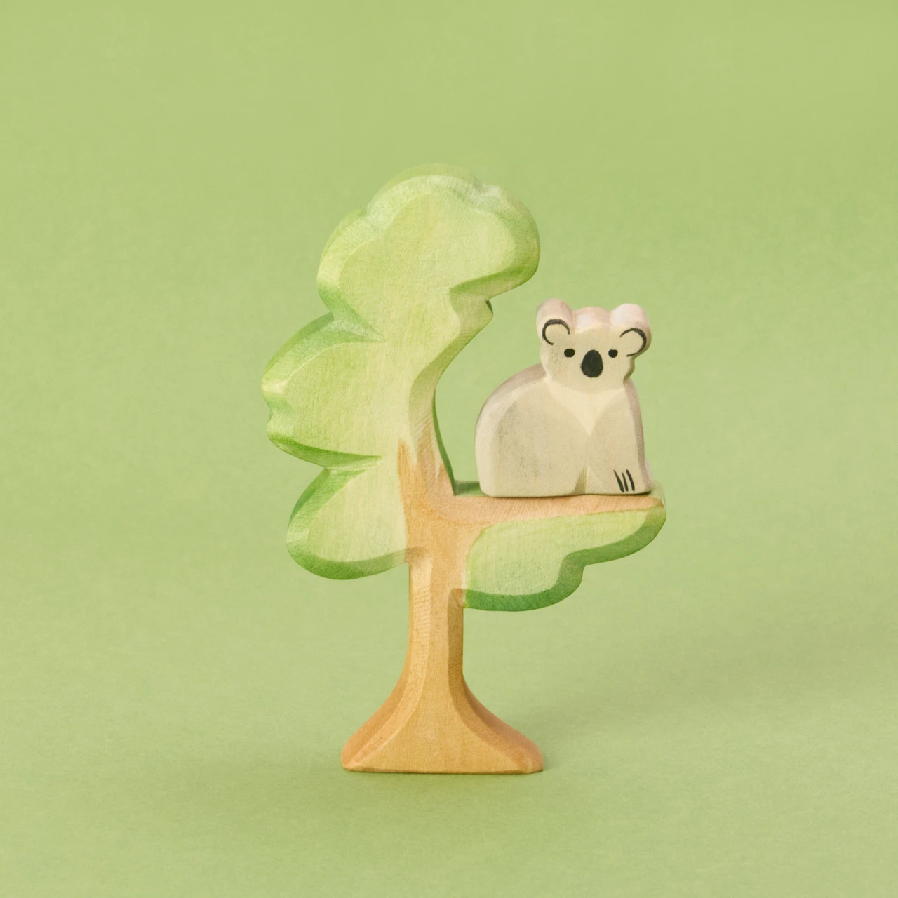 Ostheimer Eukalyptus Baum