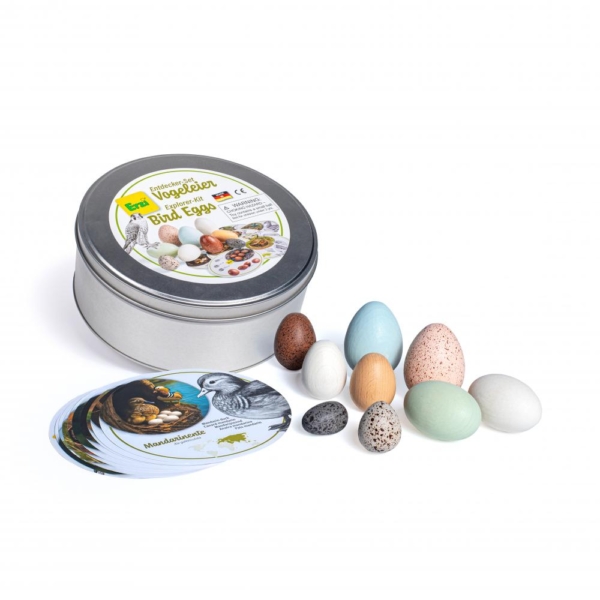 Vogeleier Entdecker-Set, Erzi