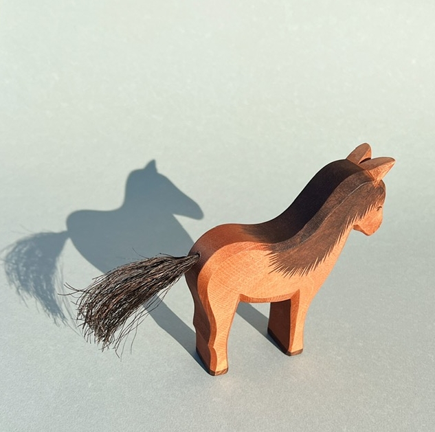 Ostheimer Islandpferd Hrókur – Bild 4