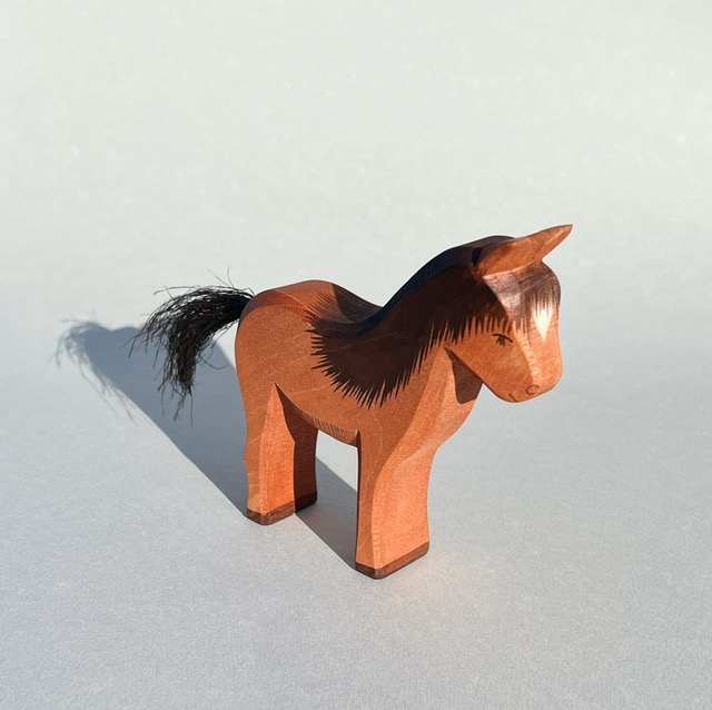 Ostheimer Islandpferd Hrókur – Bild 5